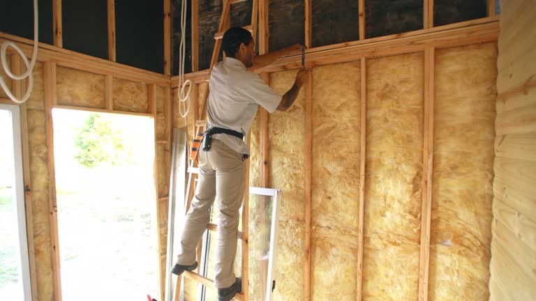 Best Blown-In Insulation  in Alvord, TX